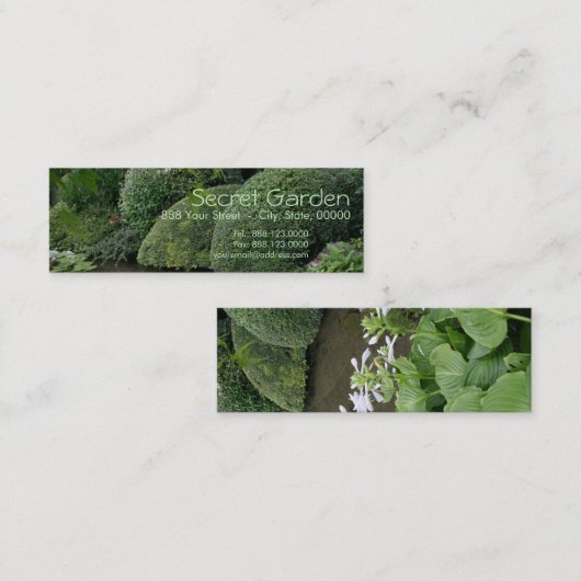 禅園のホスタ1 スキニー名刺 (正面/裏面)