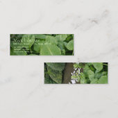 禅園のホスタ2 スキニー名刺 (正面/裏面)