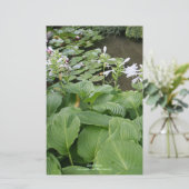 禅園のホスタ2 便箋 (スタンド正面)