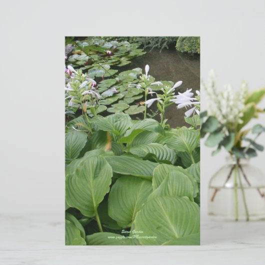 禅園のホスタ2 便箋 (スタンド正面)