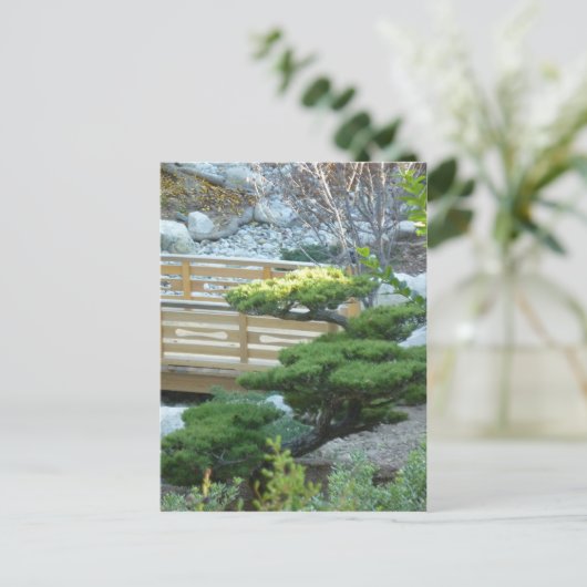 禅園 ポストカード (スタンド正面)