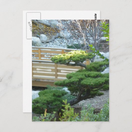 禅園 ポストカード (正面/裏面)