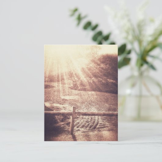 禅園 ポストカード (スタンド正面)