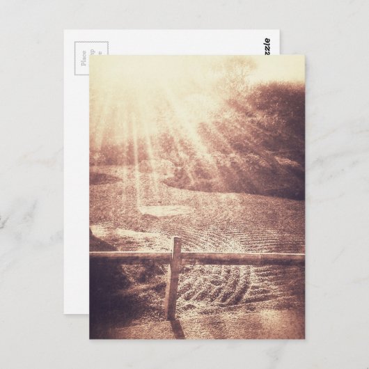 禅園 ポストカード (正面/裏面)