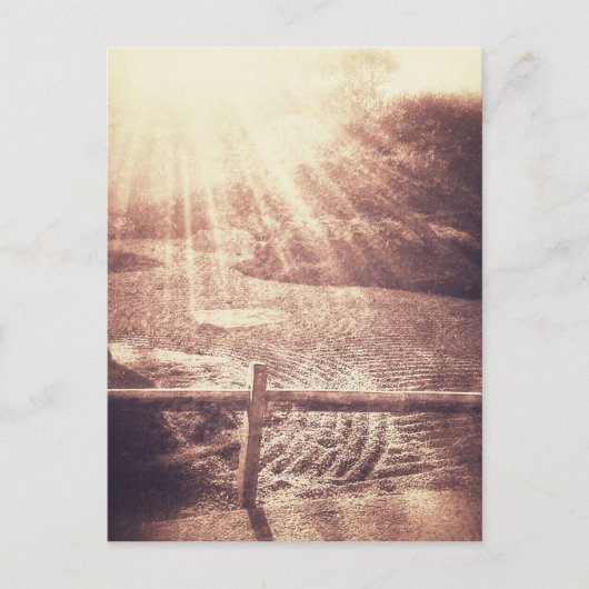 禅園 ポストカード (正面)