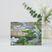 禅園 ポストカード (スタンド正面)