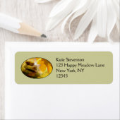 禅定石とメープル葉材 ラベル (インサイチュ)