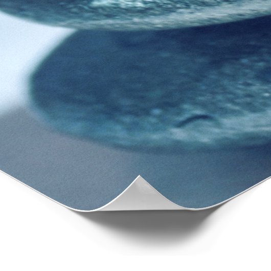 禅岩 ポスター (角)