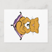 禅猫 ポストカード (正面)