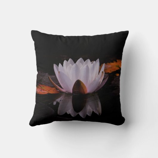 禅白蓮 クッション (裏面)