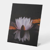 禅白蓮 台座サイン (正面)