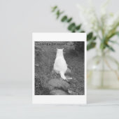 禅瞬間 ポストカード (スタンド正面)