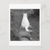 禅瞬間 ポストカード (正面)