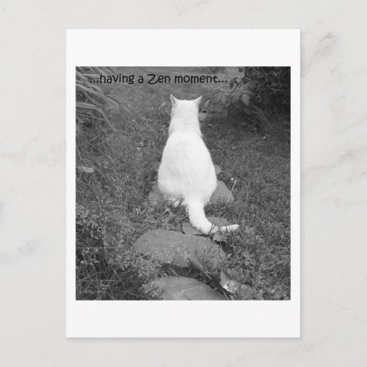 禅瞬間 ポストカード (正面)