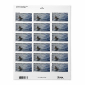 禅石、海、金フェイク箔紙吹雪 ラベル (フルシート)