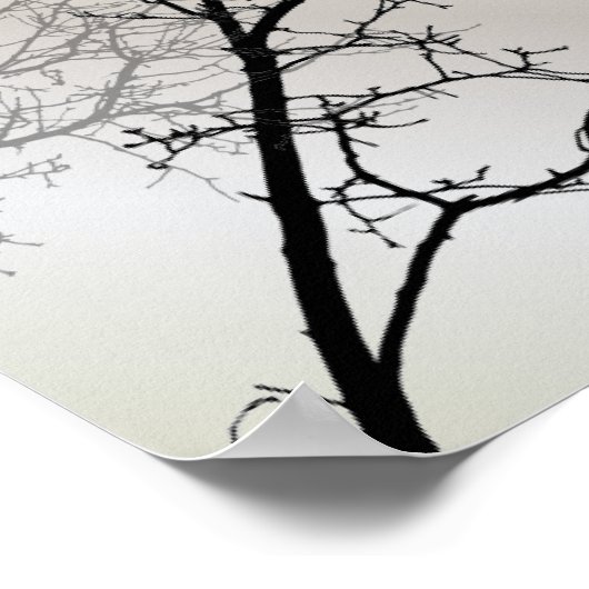 禅自然風景白黒ツリーのシルエット ポスター (角)
