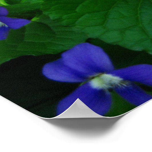 禅諺引用文ポスター ポスター (角)