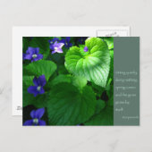 禅諺引用文ポスター ポストカード (正面/裏面)