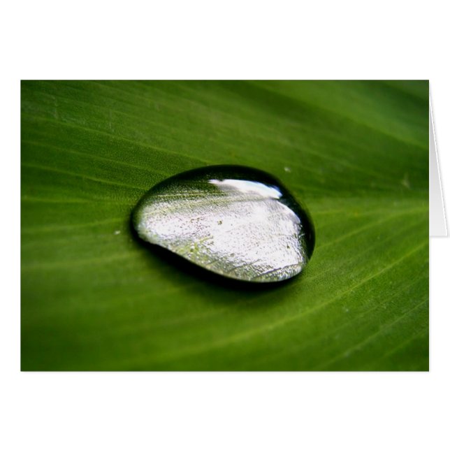 禅雨低下カード (正面横)