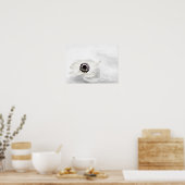 禅高鍵ホワイトアネモネ水背景 ポスター (キッチン)