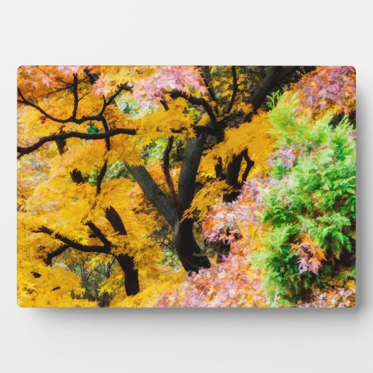 禅鮮やか園 フォトプラーク (正面)