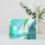 禅4 ポストカード (スタンド正面)