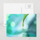 禅4 ポストカード (正面/裏面)