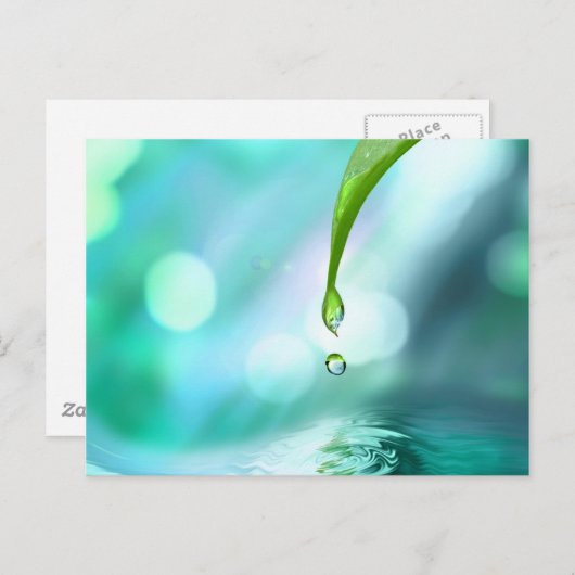 禅4 ポストカード (正面/裏面)