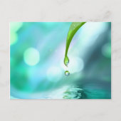 禅4 ポストカード (正面)