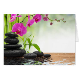 禅，平和，ピンクのラン，美しい，スパ，癒し，ヨガ，