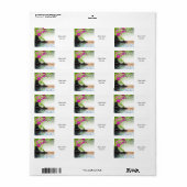 禅，平和，ピンクの蘭，美しい，スパ，癒し，ヨガ，c ラベル (フルシート)