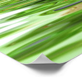 禅,平安,調停,ヨガ,平和,幸福,休息 ポスター (角)