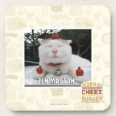 禅Mastah コースター (正面)