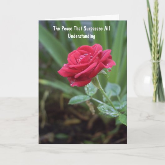 福音のメッセージが入ったクリスチャンの被収容者カード シーズンカード (正面)