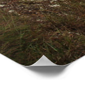 「福音は良い知らせもしに過ぎない。 ポスター (角)