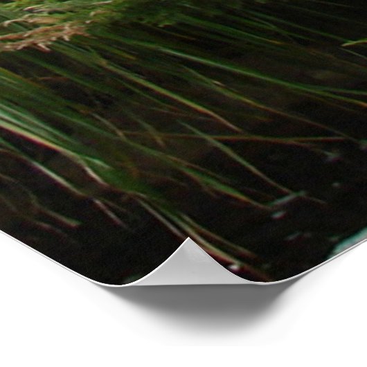 福音書第11章25節 ポスター (角)