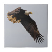 禿げたワシが空に飛び込む タイル (正面)