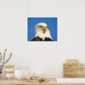 禿げたワシの顔 ポスター (キッチン)