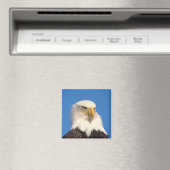 禿げたワシの顔 マグネット (インサイチュ (食洗機))