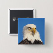 禿げたワシの顔 缶バッジ (正面&裏面)