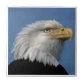 禿げたEAGLE-TILE タイル (正面)