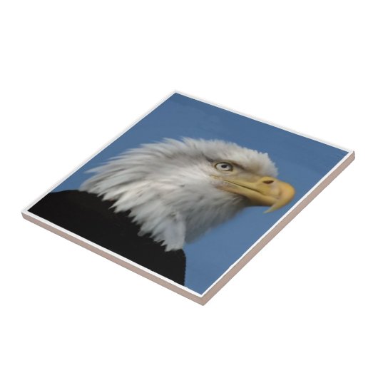 禿げたEAGLE-TILE タイル (側面)