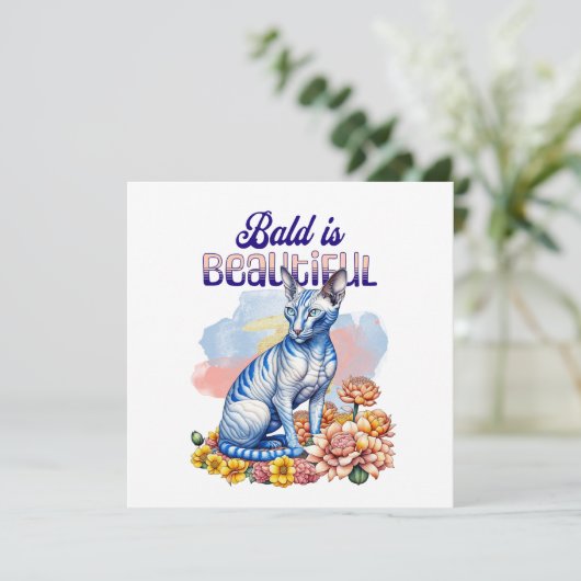 禿げるのが美しい |無毛の猫 (スタンド正面)