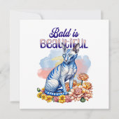 禿げるのが美しい |無毛の猫 (正面)