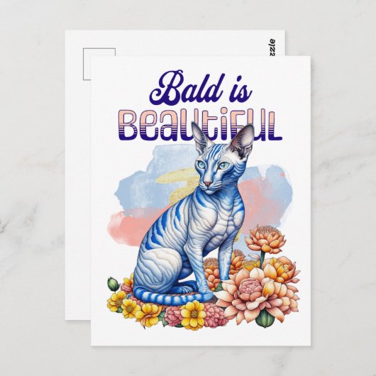 禿げるのが美しい |無毛の猫 ポストカード (正面/裏面)