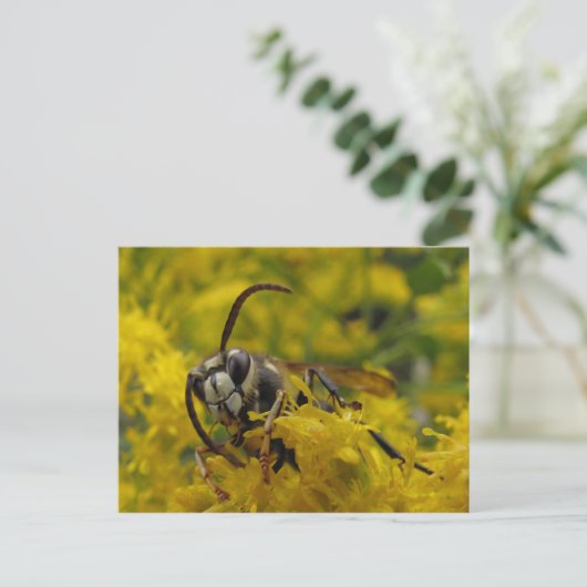 禿げ角 ポストカード (スタンド正面)