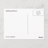 禿げ角 ポストカード (裏面)