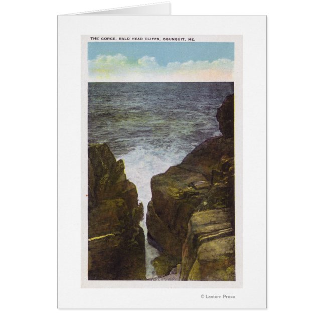 禿げ頭の崖の上の渓谷を望む (正面)