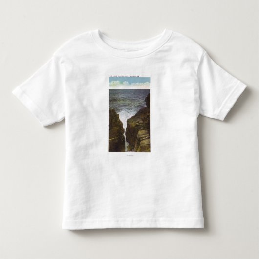 禿げ頭の崖の眺め、峡谷 トドラーTシャツ (正面)
