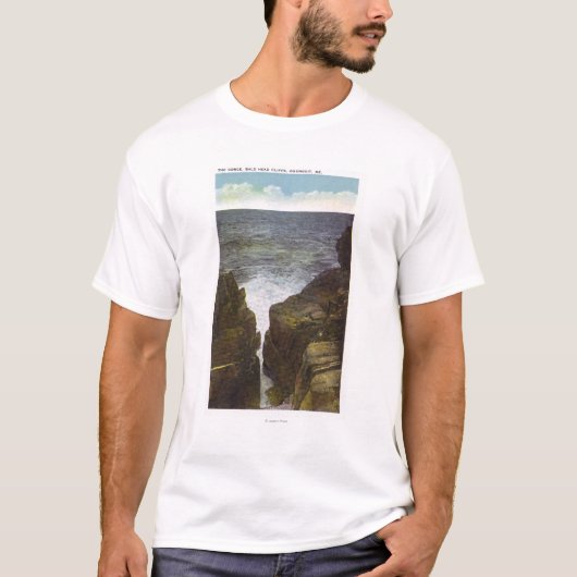 禿げ頭の崖の眺め、峡谷 Tシャツ (正面)